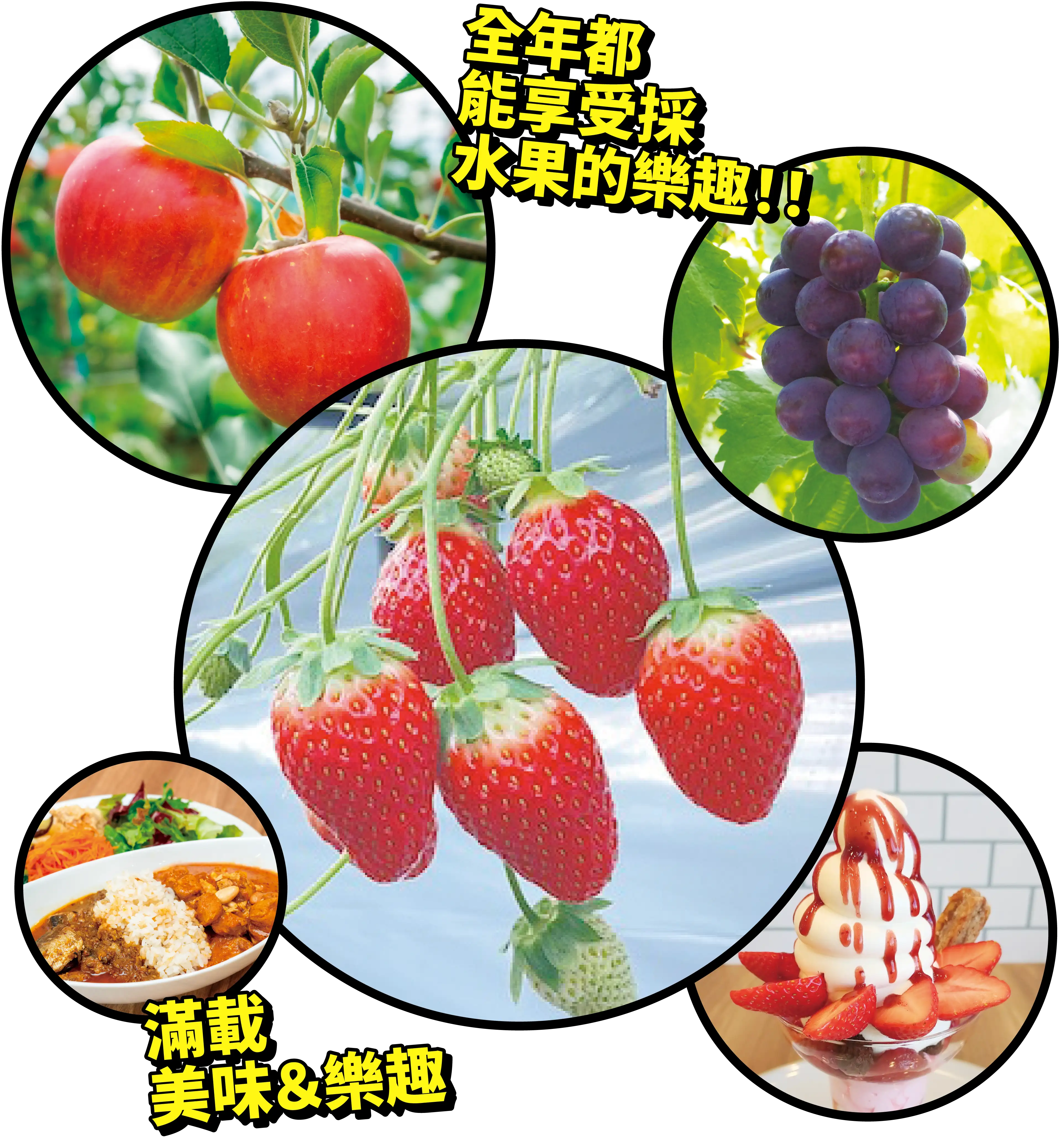 JR水果公園 仙台荒濱